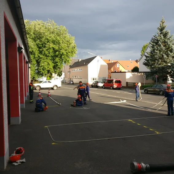 IMG_20170703_192250.jpg